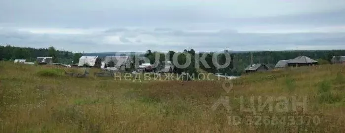 Участок в Пермский край, Березники муниципальный округ, д. Белая Пашня ... - Фото 2