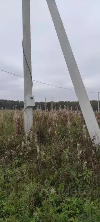 Участок в Красноярский край, Емельяновский район, Никольский ... - Фото 1