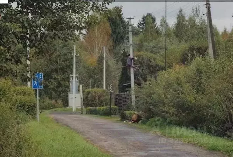 Участок в Московская область, Дмитровский муниципальный округ, ... - Фото 1