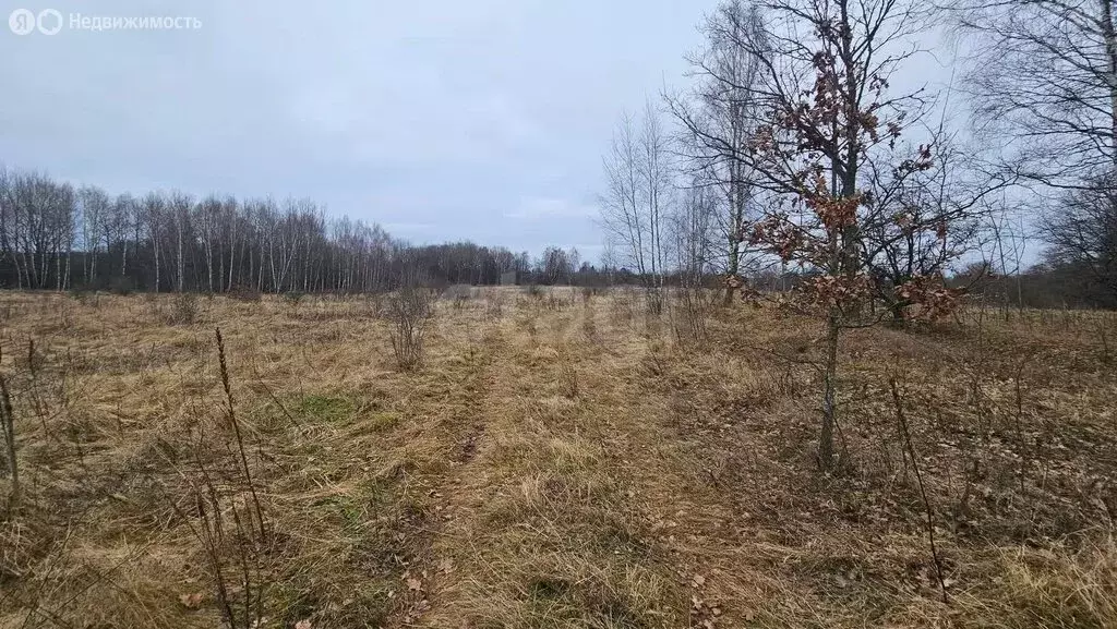 Участок в Калининградская область, Озёрский муниципальный округ, Малая ... - Фото 1