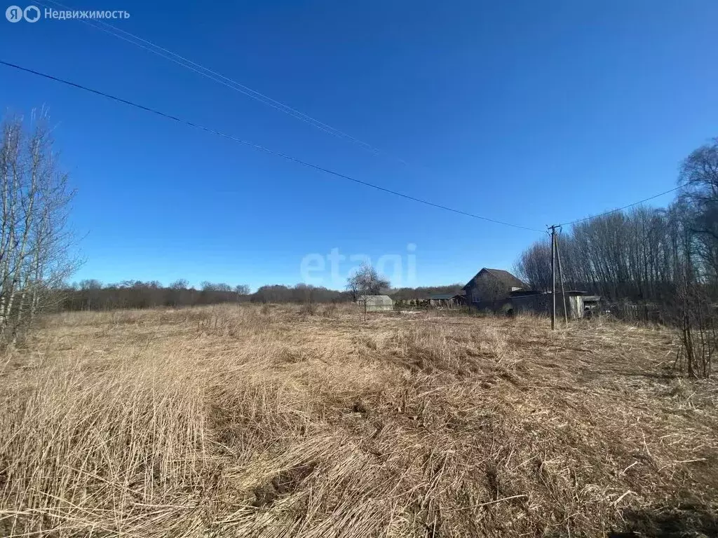 Участок в Ярославская область, Угличский муниципальный округ, село ... - Фото 1