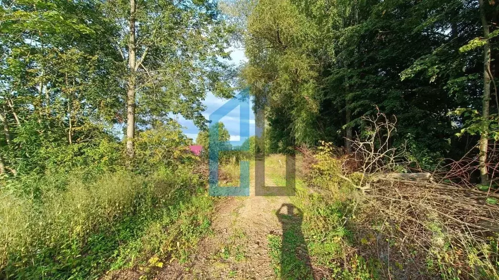 Участок в Московская область, Клин городской округ, д. Борисово  (9.0 ... - Фото 1