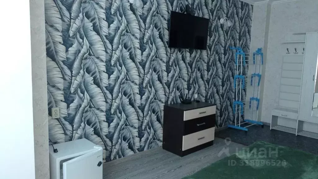 Студия Краснодарский край, Сочи ул. Рассветная, 52 (22.0 м) - Фото 1