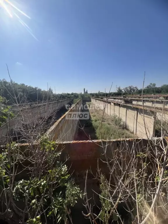 Производственное помещение в Саратовская область, Энгельсский район, ... - Фото 1