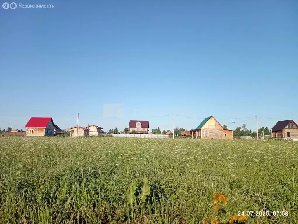 Участок в Новосибирская область, Коченёвский муниципальный район, ... - Фото 0
