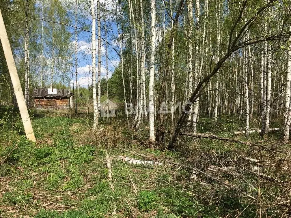 Участок в Владимирская область, Владимир Миловка СТ,  (10.0 сот.) - Фото 0