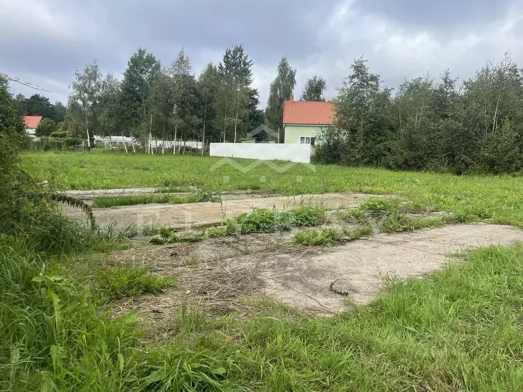 Купить Участок В Светлом Калининградской Области