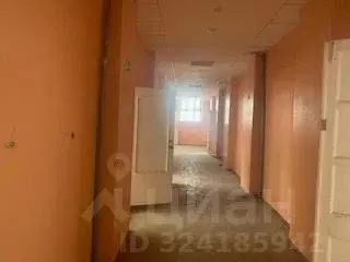 Помещение свободного назначения в Пензенская область, Пенза ул. ... - Фото 2