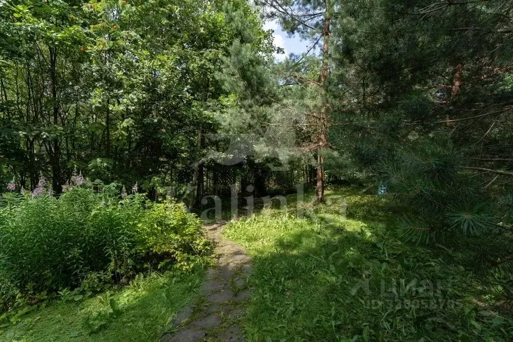 Участок в Московская область, Одинцовский городской округ, д. Бородки, ... - Фото 2