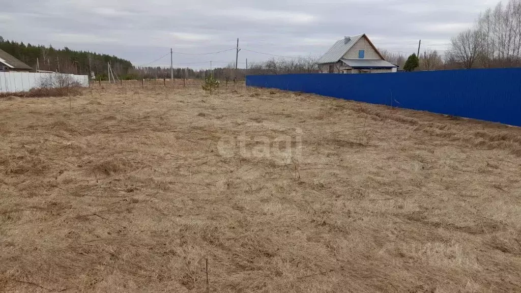 Участок в Владимирская область, Доброград муниципальный округ, д. ... - Фото 1