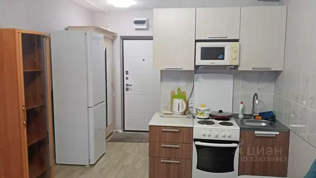 Студия Новосибирская область, Новосибирский район, Станционный ... - Фото 1