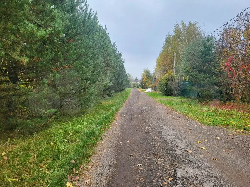 Участок 6 сот. (СНТ, ДНП) - Фото 1