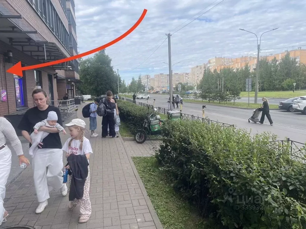 Помещение свободного назначения в Санкт-Петербург ул. Репищева, 10к1 ... - Фото 1