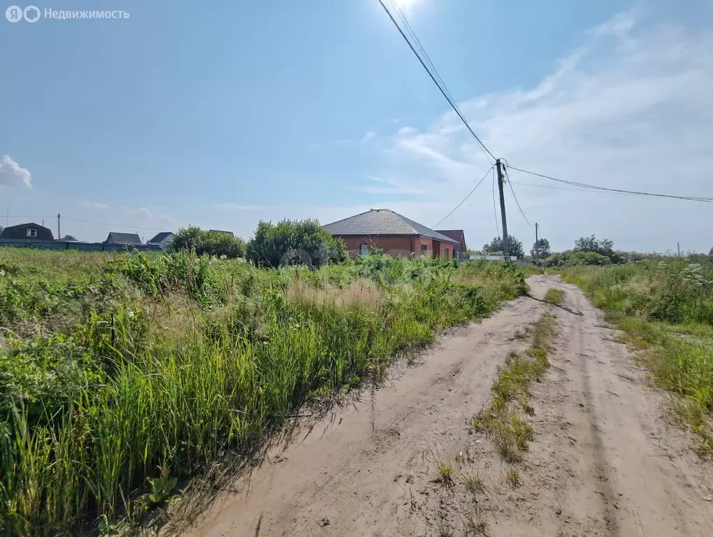 Участок в Тюмень, СНТ Царево, Тепличная улица (7.49 м) - Фото 2