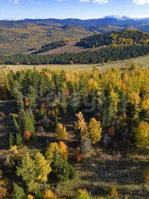 Участок в Алтай, Чемальский район, с. Чемал  (19.92 сот.) - Фото 1