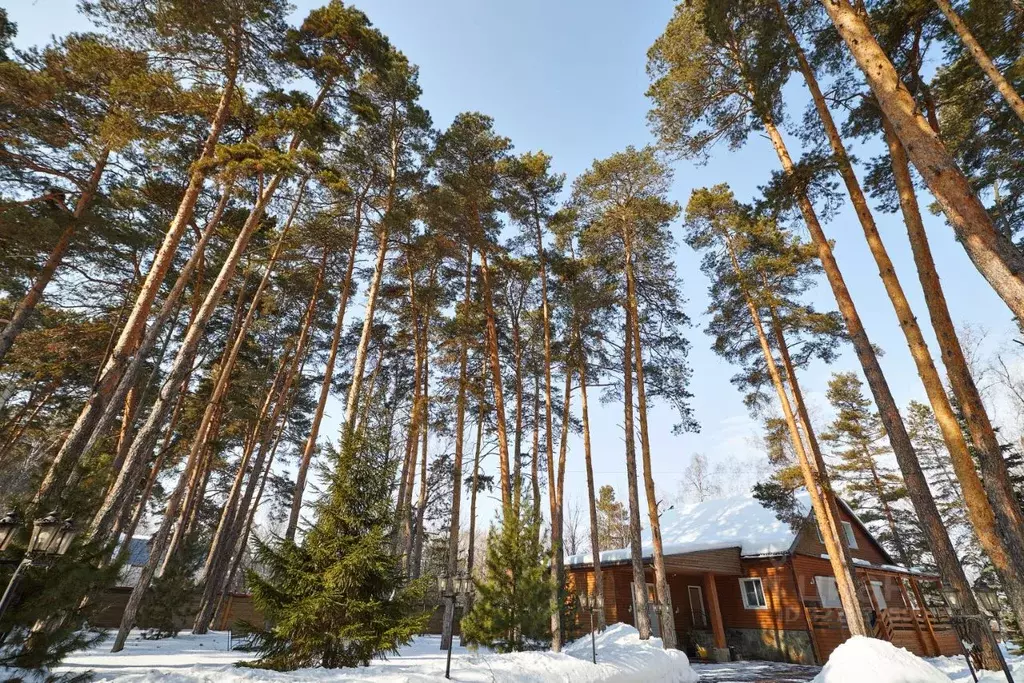 Дом в Челябинская область, Еткульский муниципальный округ, д. ... - Фото 1