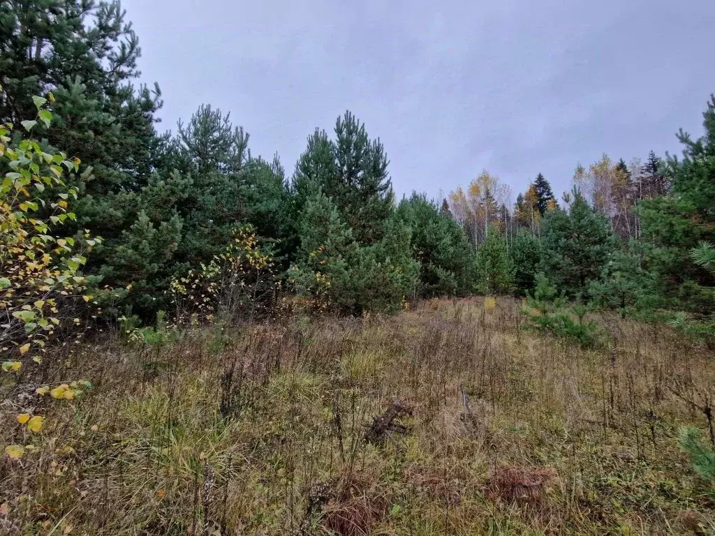 Участок в Владимирская область, Владимир д. Уварово, ул. Малая ... - Фото 2