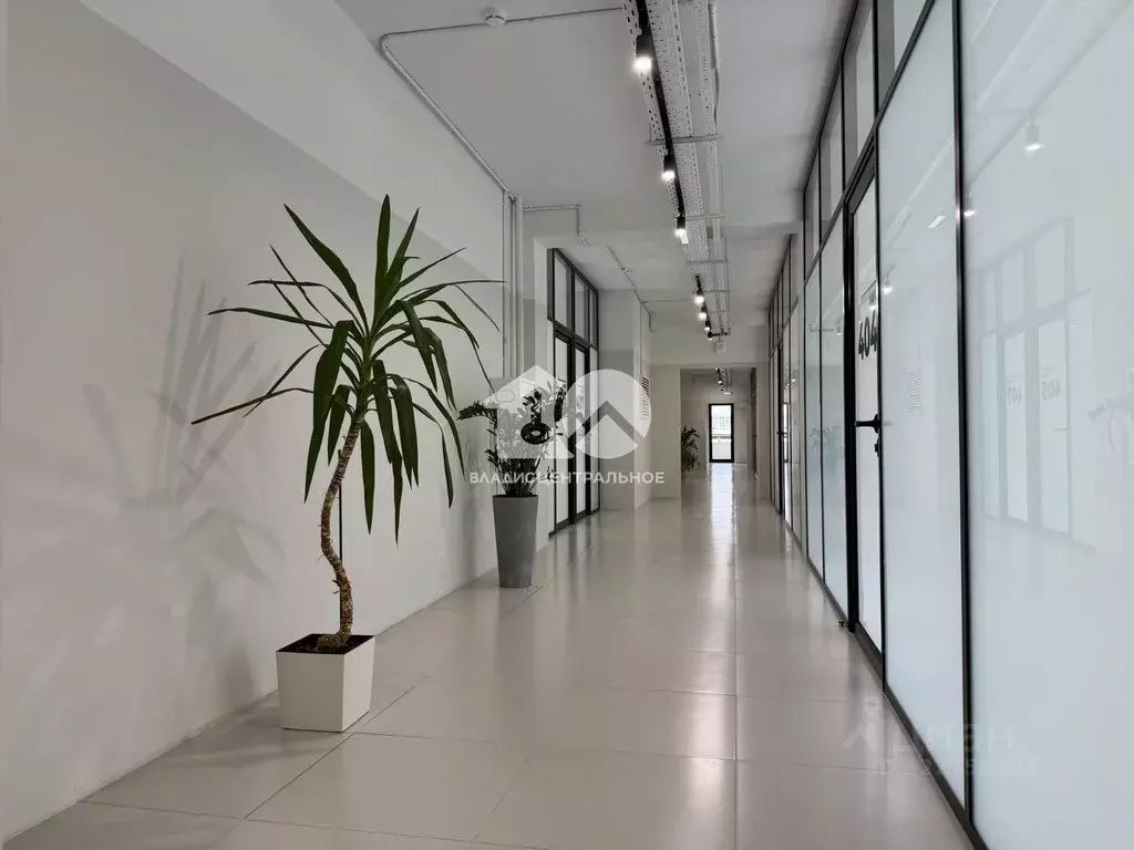 Офис в Новосибирская область, Новосибирск Красный просп., 184 (35 м) - Фото 2