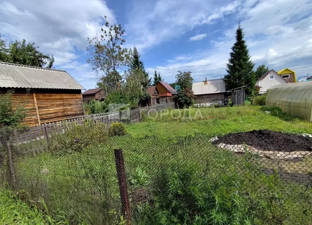 Участок в Новосибирская область, Новосибирск Пион садовое ... - Фото 2