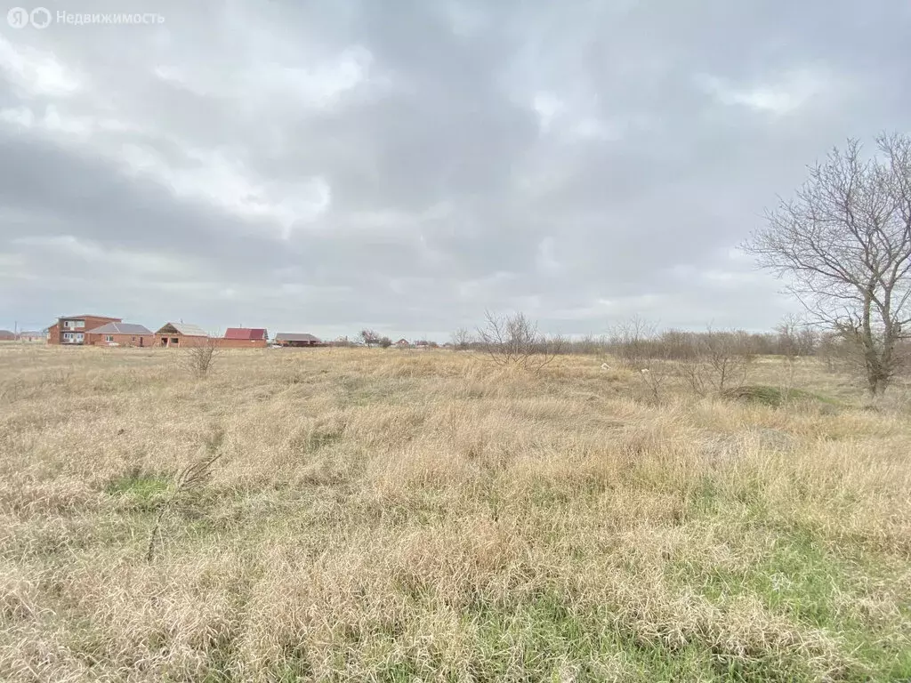Участок в Кухаривка, Солнечная улица (15 м) - Фото 0