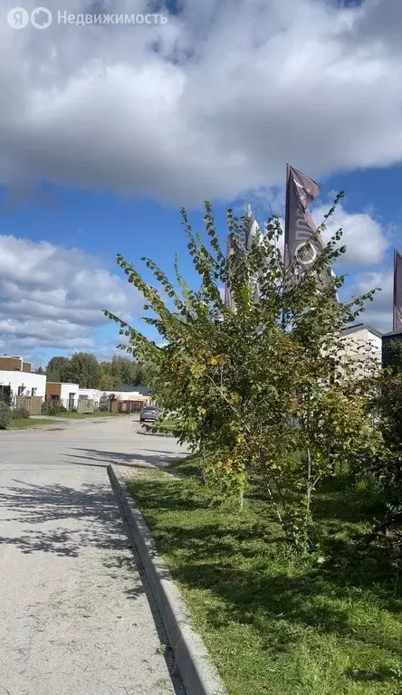 Участок в село Марусино, улица Шишкина (8.5 м) - Фото 0