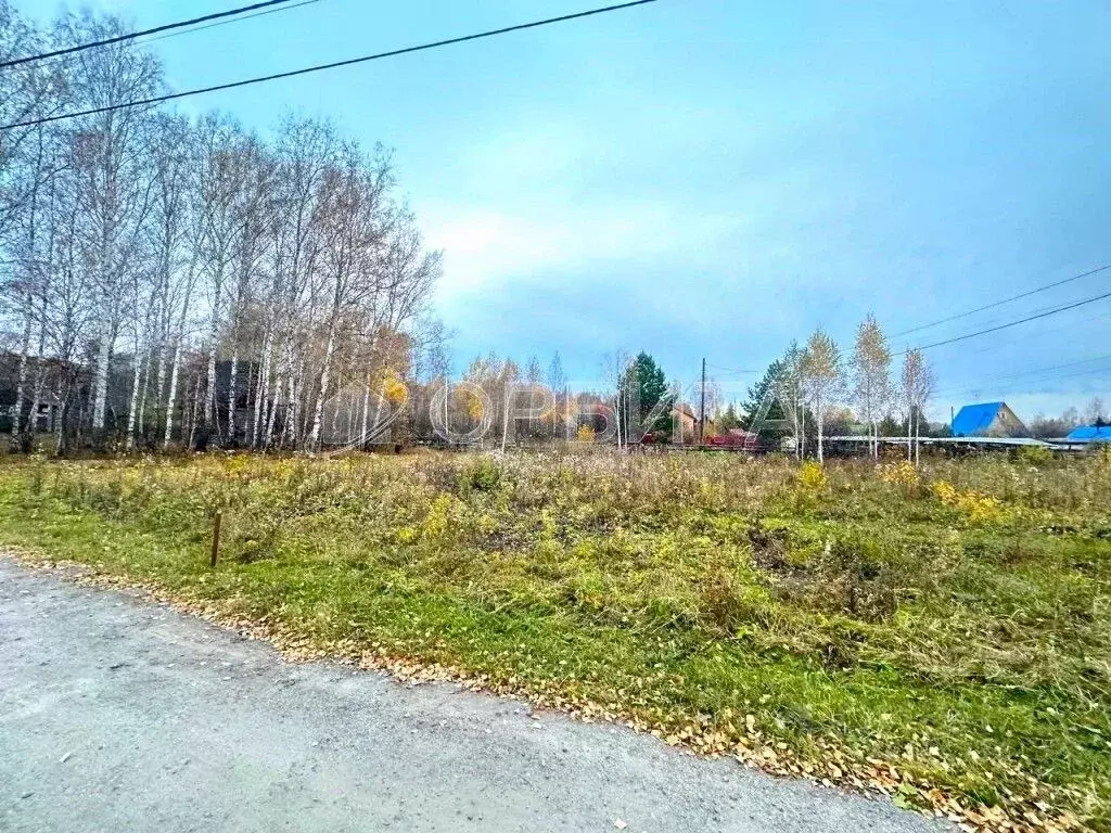 Участок в Тюменская область, Тюменский район, д. Коняшина ул. Луговая ... - Фото 0