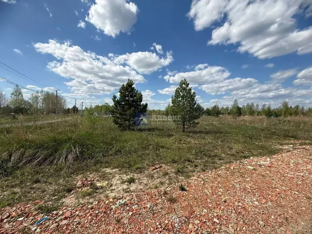 Участок в Тюменская область, Нижнетавдинский муниципальный округ, ... - Фото 2