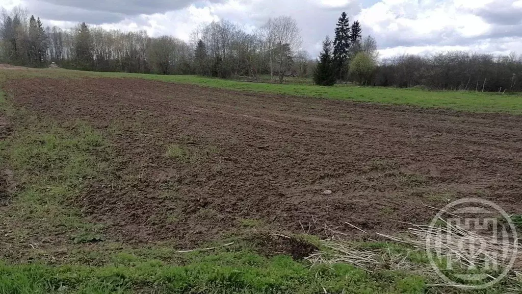 Участок в Ленинградская область, Лужский район, Заклинское с/пос, д. ... - Фото 1
