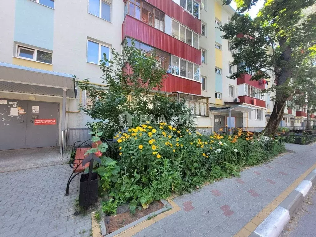 2-к кв. Белгородская область, Белгород ул. Мокроусова, 7 (44.1 м) - Фото 1