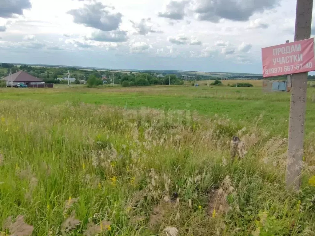 Участок в Мордовия, Лямбирский район, с. Берсеневка  (6.0 сот.) - Фото 2