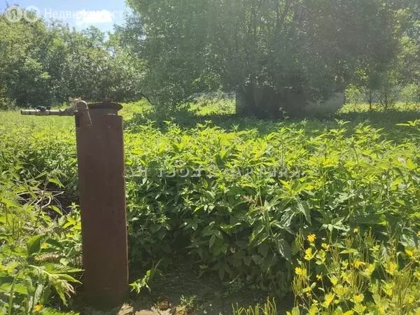 Дом в Балашиха, микрорайон Никольско-Архангельский, улица 2-я Линия ... - Фото 1