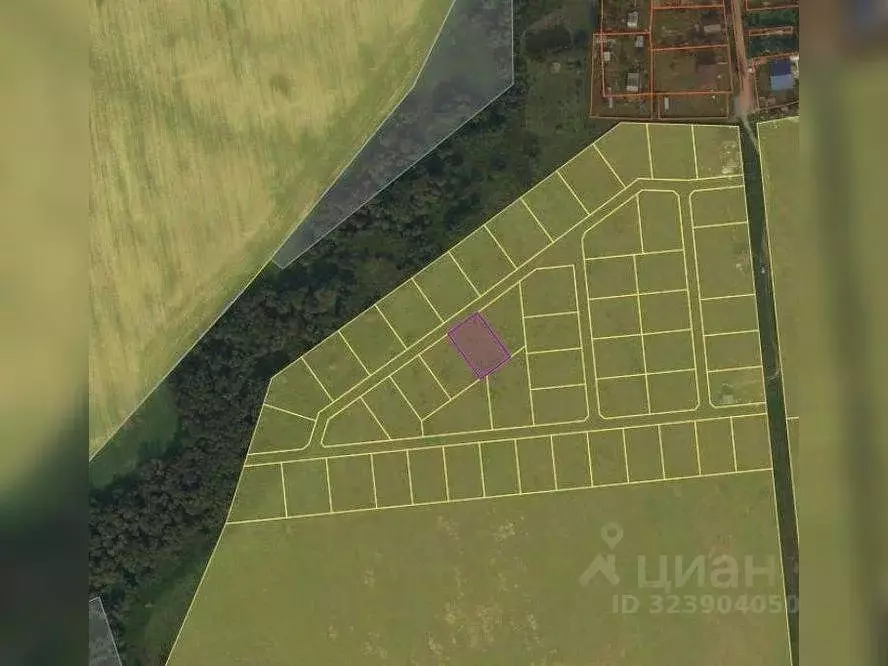 Участок в Московская область, Шаховская муниципальный округ, д. ... - Фото 2