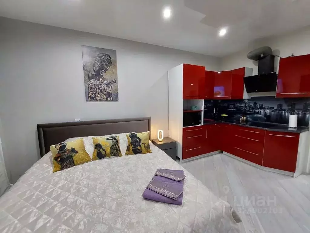 Студия Ленинградская область, Кингисепп ул. Воровского, 50к2 (31.0 м) - Фото 1