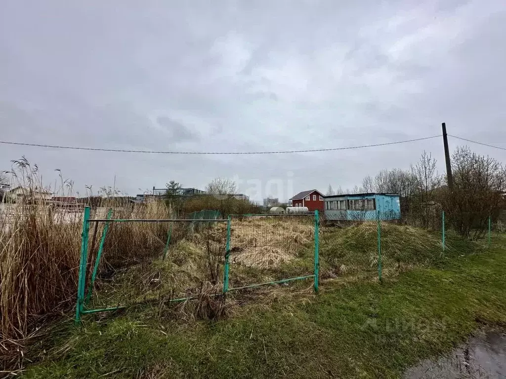 Участок в Санкт-Петербург пос. Стрельна, ул. Новые Заводы (12.0 сот.) - Фото 1