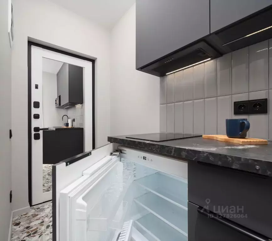 Студия Москва Березовая аллея, 19к3 (18.5 м) - Фото 2