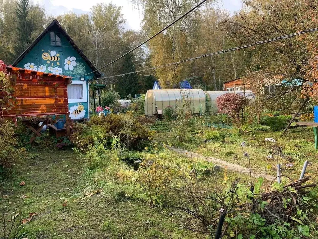 Участок в Новосибирская область, Новосибирск Садовод-Мичуринец СНТ, ... - Фото 0