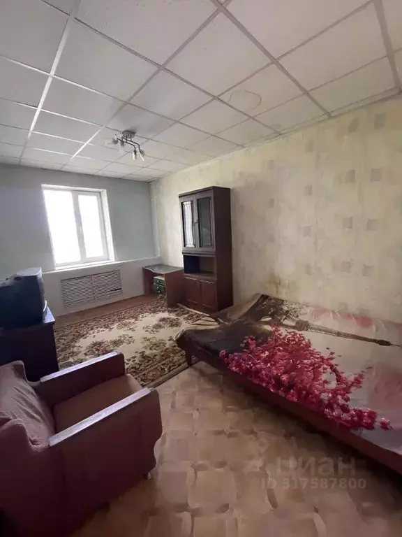 Комната Челябинская область, Челябинск ул. Харлова, 3 - Фото 0