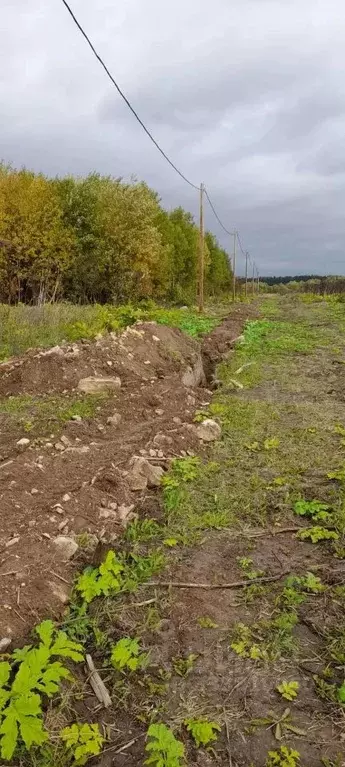 Участок в Ленинградская область, Волосовский район, д. Большая Вруда ... - Фото 2
