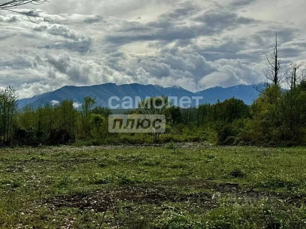 Участок в Краснодарский край, Апшеронский район, с. Черниговское ул. ... - Фото 1