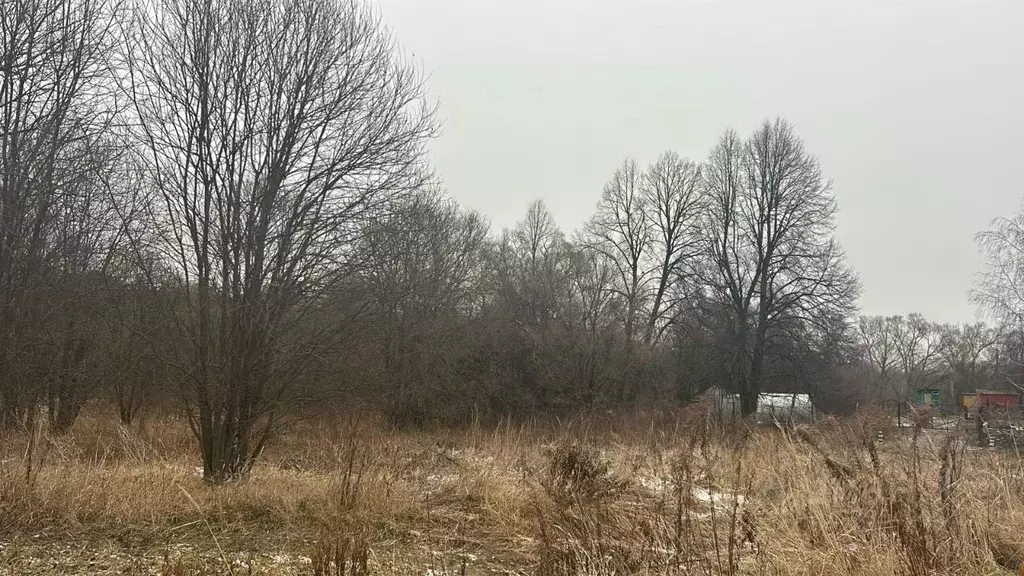 Участок в Московская область, Ступино городской округ, д. Дворяниново  ... - Фото 0