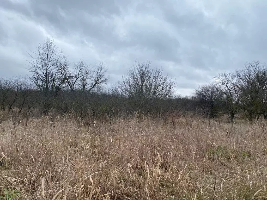 Участок в Ставропольский край, Ставрополь Дизель садовое товарищество, ... - Фото 2