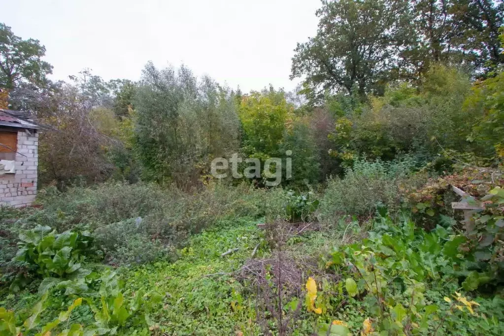 Участок в Калининградская область, Калининград Золотой Петушок ДНТ,  ... - Фото 1