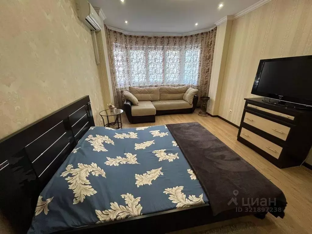 1-к кв. Московская область, Ногинск Богородский городской округ, ул. ... - Фото 1