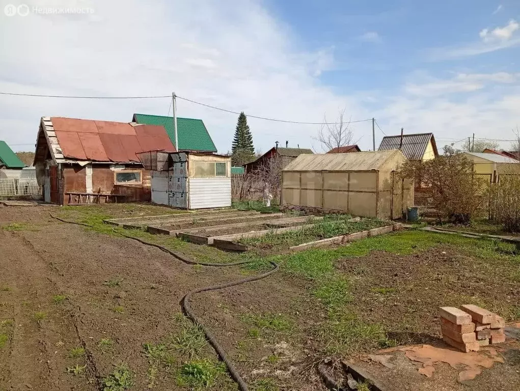 Участок в Новосибирск, садоводческое некоммерческое товарищество ... - Фото 1