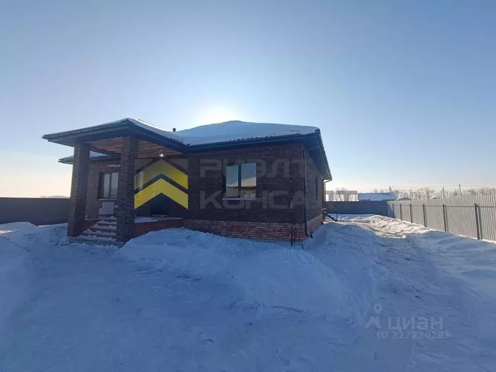 Дом в Омская область, Омский район муниципальный округ, с. Пушкино ул. ... - Фото 2