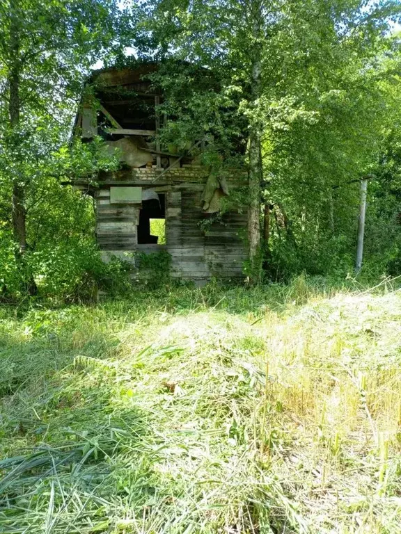 Участок в Московская область, Рузский городской округ, д. Усадково 11 ... - Фото 0