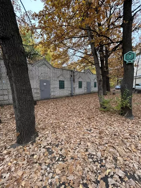 Склад в Саратовская область, Саратов ул. Большая Садовая, 239 (5 м) - Фото 1