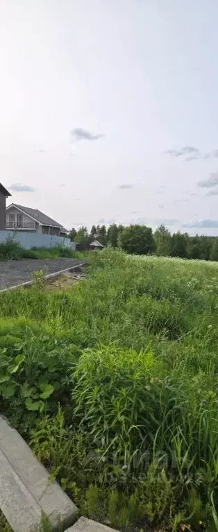 Участок в Московская область, Солнечногорск городской округ, ... - Фото 1