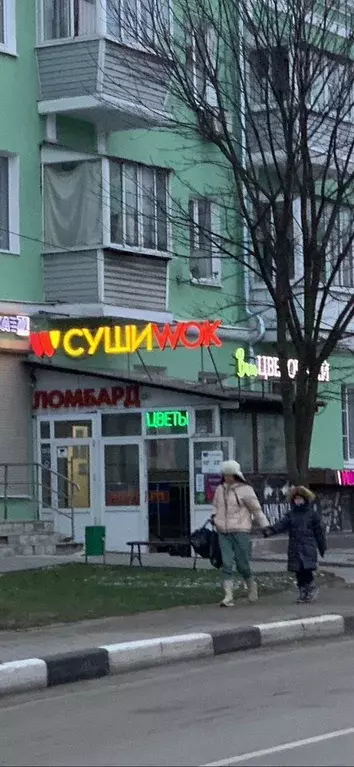 Помещение свободного назначения в Московская область, Старая Купавна ... - Фото 2