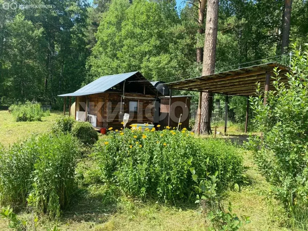 Дом в Кубовинский сельсовет, СНТ Авиатор (40 м) - Фото 0